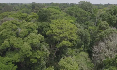 jhoje-limpo-20230829-1315-frame-42783 jhoje-limpo-20230829-1315-frame-42783