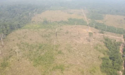 jhoje-limpo-20231016-1315-frame-133248 jhoje-limpo-20231016-1315-frame-133248