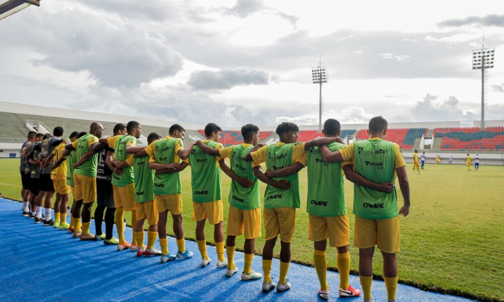 netolucena netolucena