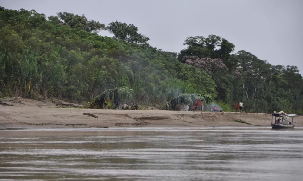 rio-envira-scaled rio-envira-scaled