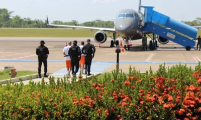 transferencia-jpeg transferencia-jpeg