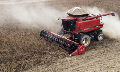 15-20230307122109_DJI_0805-855x572