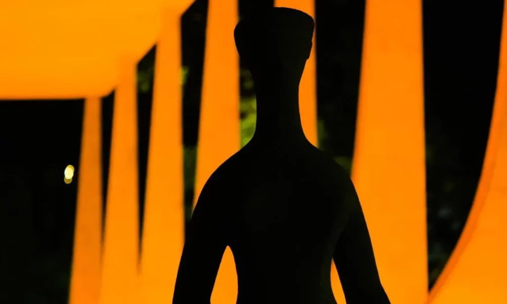 52519022307_a10855f62a_k-e1696357267138 52519022307_a10855f62a_k-e1696357267138