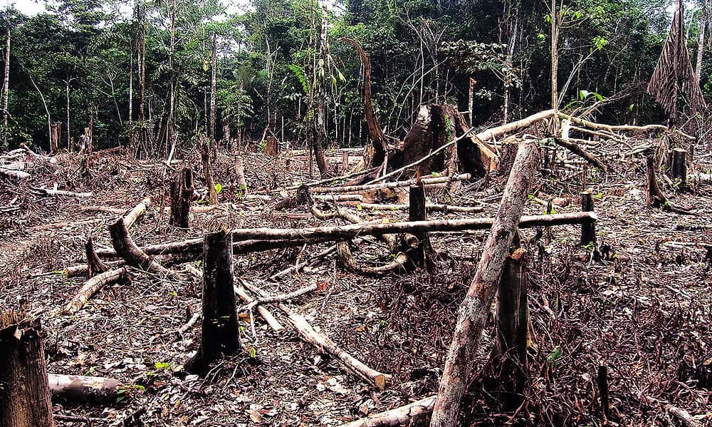 Atualidades-a-situacao-do-desmatamento-na-Amazonia Atualidades-a-situacao-do-desmatamento-na-Amazonia