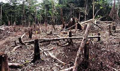 Atualidades-a-situacao-do-desmatamento-na-Amazonia Atualidades-a-situacao-do-desmatamento-na-Amazonia