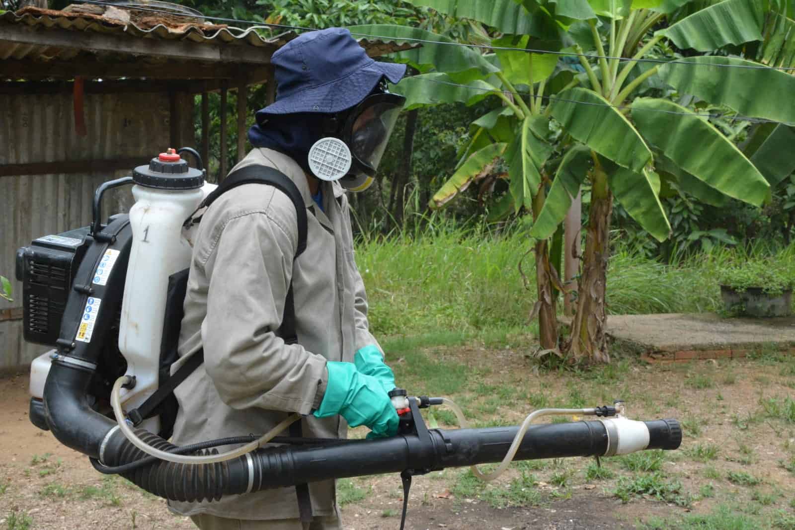 Prefeitura lança o dia “D” de combate à dengue na capital