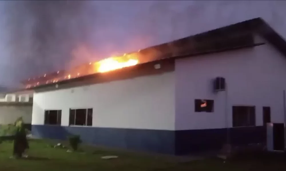 FOGO-CIEPS-jpg FOGO-CIEPS-jpg