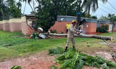 IMG-20231120-WA0701 IMG-20231120-WA0701