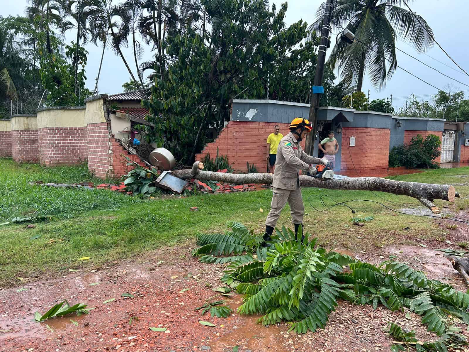 Queda de árvores representa o maior número de ocorrências registradas após chuva na Capital