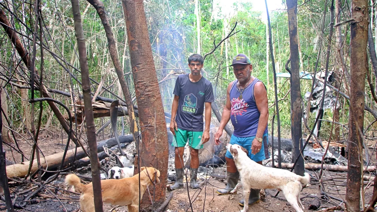 Mateiros e cães que ajudaram socorristas a chegar ao local da queda de avião no Acre