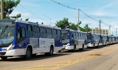 NOVOS-ONIBUS-DOMIG NOVOS-ONIBUS-DOMIG