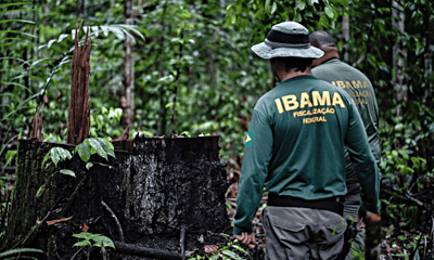 Rectangle-1000×600 Rectangle-1000x600