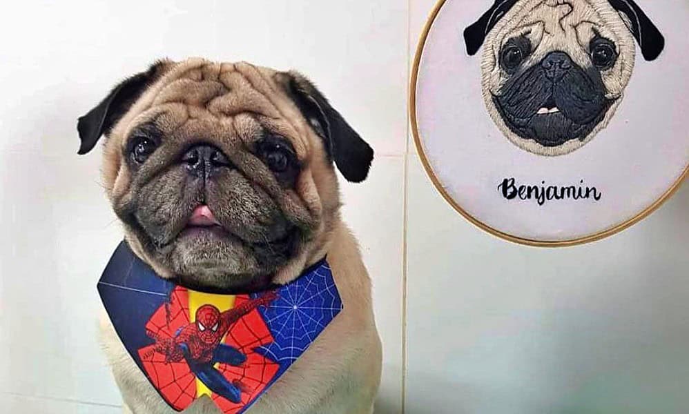 WhatsApp-Image-2023-04-12-at-15.06.13 WhatsApp-Image-2023-04-12-at-15.06.13