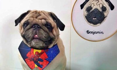 WhatsApp-Image-2023-04-12-at-15.06.13 WhatsApp-Image-2023-04-12-at-15.06.13