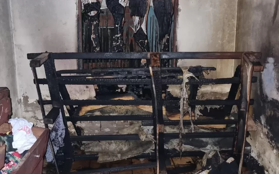 WhatsApp-Image-2023-11-01-at-01.13.32-jpeg WhatsApp-Image-2023-11-01-at-01.13.32-jpeg