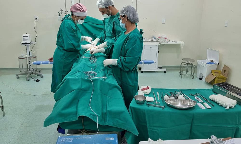 WhatsApp-Image-2023-11-03-at-11.21.20-1536×1152 WhatsApp-Image-2023-11-03-at-11.21.20-1536x1152