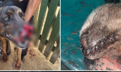 WhatsApp Image 2023-11-03 at 15.03.33 WhatsApp Image 2023-11-03 at 15.03.33