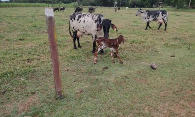 WhatsApp-Image-2023-11-06-at-10.18.14-1-800×445 WhatsApp-Image-2023-11-06-at-10.18.14-1-800x445