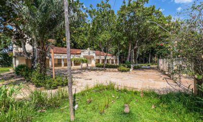 WhatsApp-Image-2023-11-07-at-07.00.24 WhatsApp-Image-2023-11-07-at-07.00.24