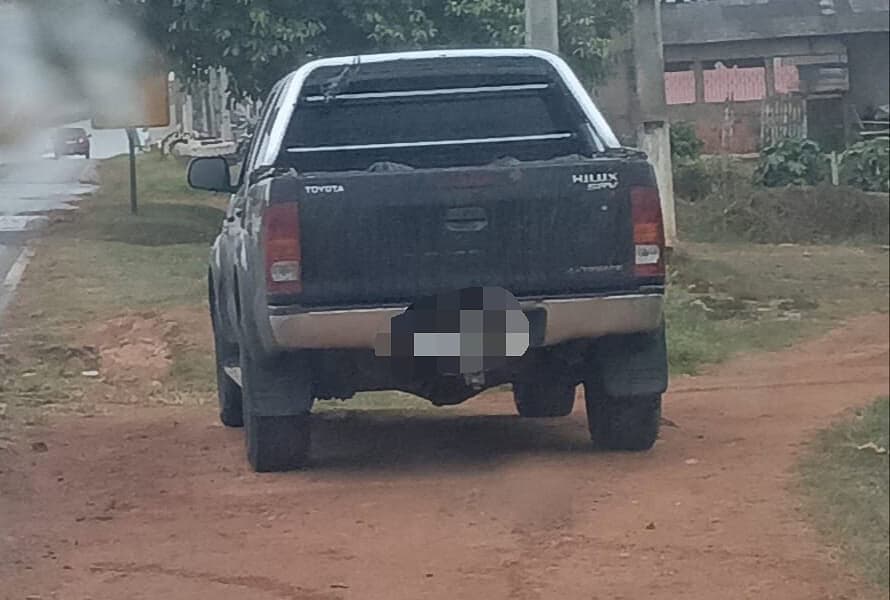 WhatsApp Image 2023-11-09 at 11.46.35 WhatsApp Image 2023-11-09 at 11.46.35