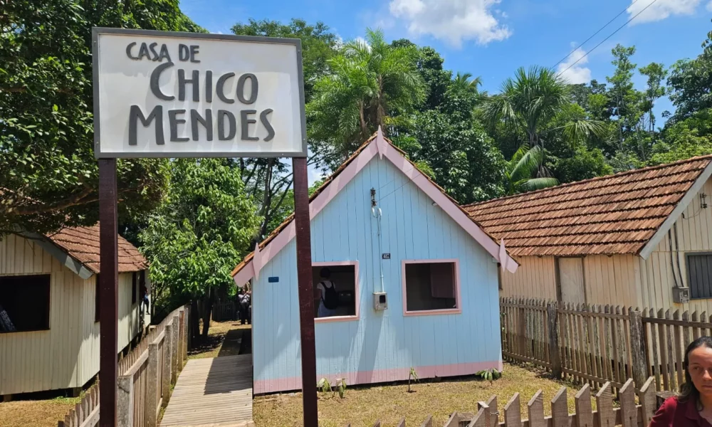 WhatsApp-Image-2023-11-10-at-12.15.24-jpeg WhatsApp-Image-2023-11-10-at-12.15.24-jpeg