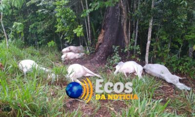 WhatsApp Image 2023-11-15 at 23.44.55 (1) WhatsApp Image 2023-11-15 at 23.44.55 (1)