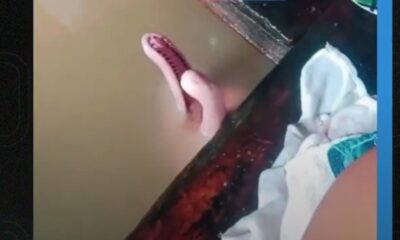 WhatsApp Image 2023-11-30 at 15.51.22