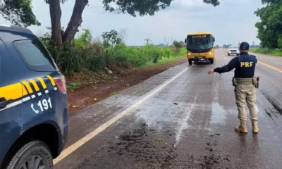 f1f5293a-836a-4f0d-aa49-52b6161cd821-jpeg