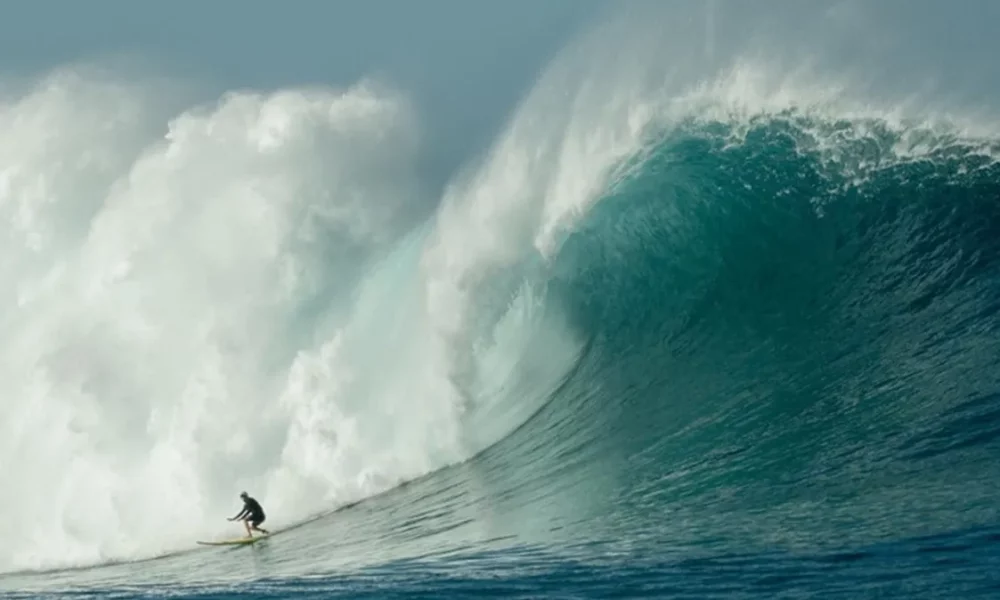 laura-enever-surf-e1699545228629 laura-enever-surf-e1699545228629