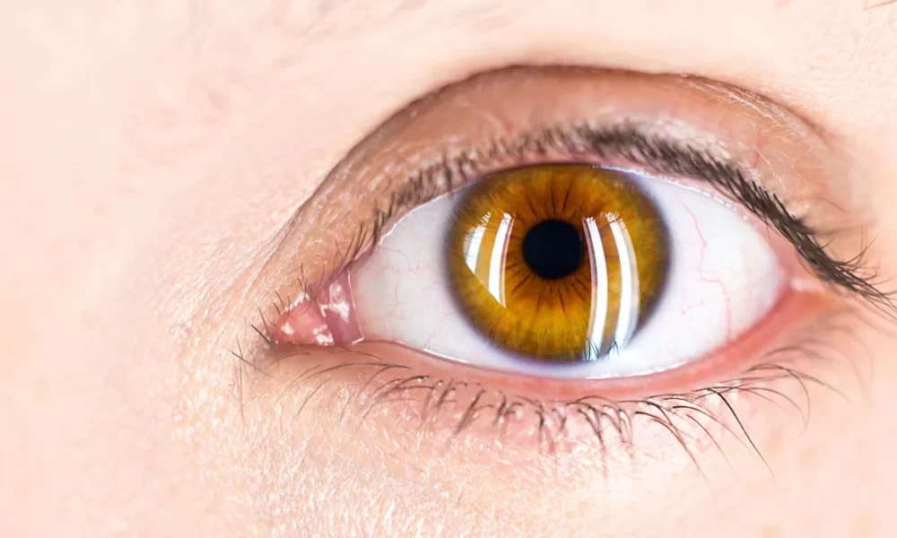 salvatore-ventura-K8uQz0zfFbg-unsplash salvatore-ventura-K8uQz0zfFbg-unsplash