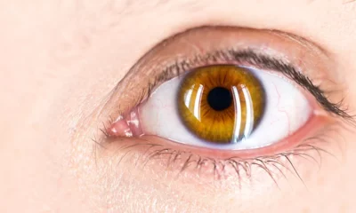 salvatore-ventura-K8uQz0zfFbg-unsplash salvatore-ventura-K8uQz0zfFbg-unsplash