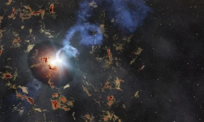 stellar-corpse-e1700246360773