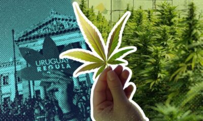 45ff7ff0-9b2d-11ee-b9a7-c91b9dfa91e5 45ff7ff0-9b2d-11ee-b9a7-c91b9dfa91e5