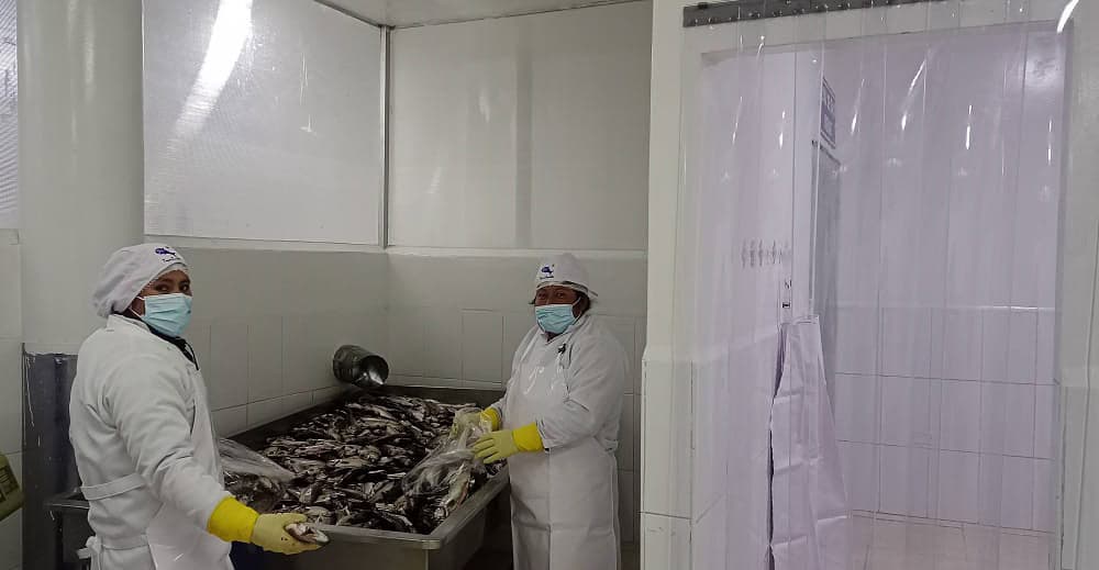 88807121-8054-48e9-a820-0f8d67ad3e6d 88807121-8054-48e9-a820-0f8d67ad3e6d