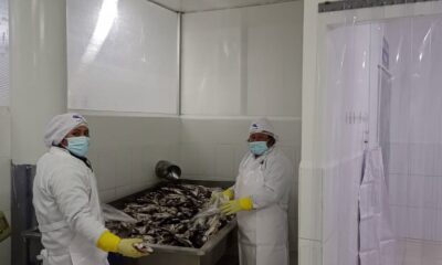 88807121-8054-48e9-a820-0f8d67ad3e6d 88807121-8054-48e9-a820-0f8d67ad3e6d