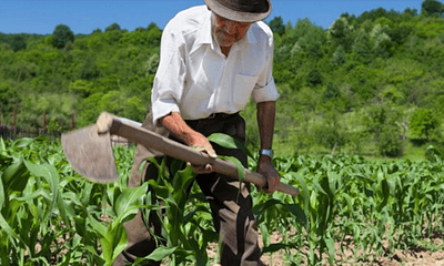 Agricultura-familiar-é-essencial-para-a-segurança-alimentar-Alimentação-em-Foco