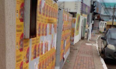 Arvore-4-1 Arvore-4-1