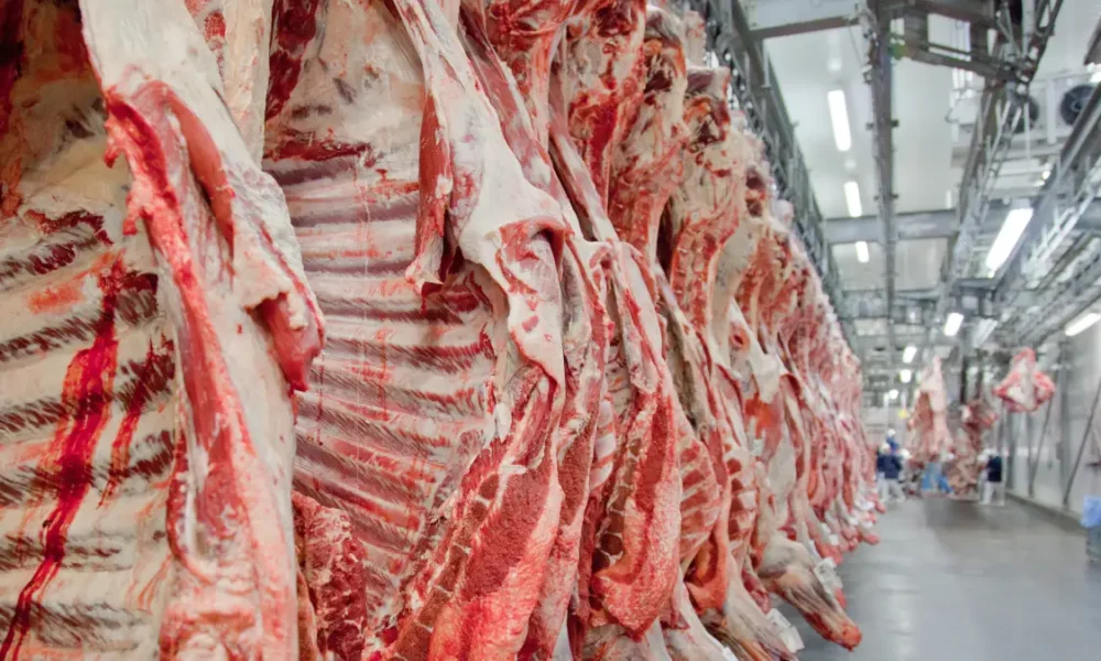 Carne-bovina-e-processada-em-frigorifico-brasileiro-e1630773282141 Carne-bovina-e-processada-em-frigorifico-brasileiro-e1630773282141