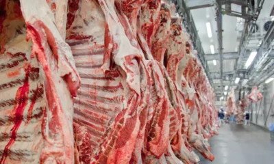 Carne-bovina-e-processada-em-frigorifico-brasileiro-e1630773282141
