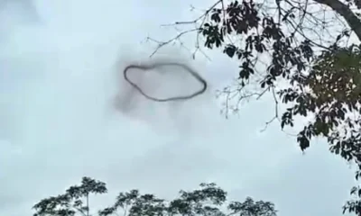 Frame-58-5-1-976x600