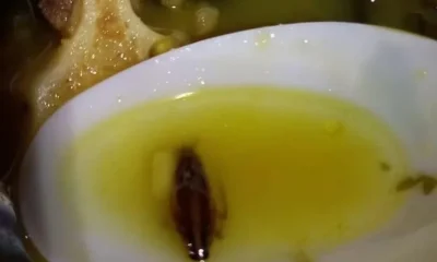 Frame-80-3-2-976×600 Frame-80-3-2-976x600