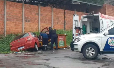 GRAVIDA–1000×600 GRAVIDA--1000x600