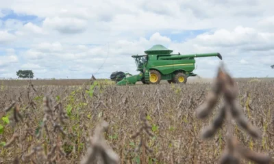 IMG_4541-1200x800-1-1000x600