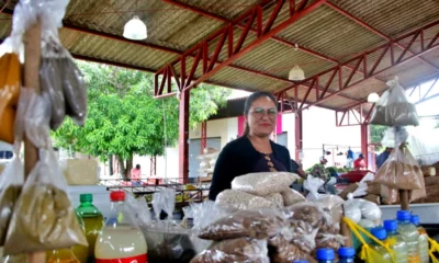 IMG_4677-1000×600 IMG_4677-1000x600