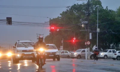 IMG_9938-1000×600 IMG_9938-1000x600