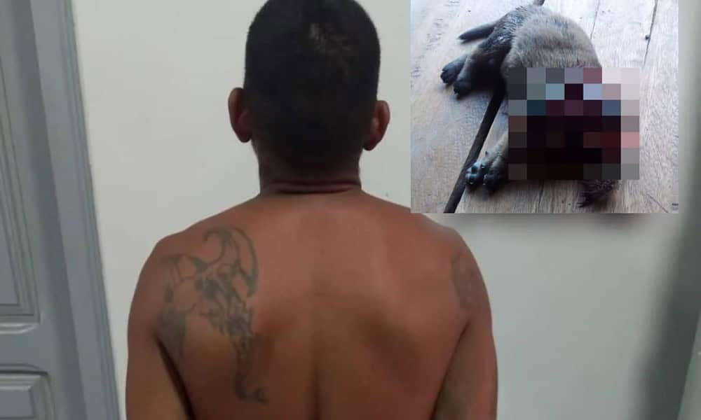 WhatsApp Image 2023-12-01 at 19.53.05 WhatsApp Image 2023-12-01 at 19.53.05