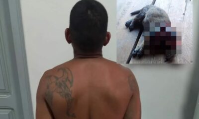 WhatsApp Image 2023-12-01 at 19.53.05 WhatsApp Image 2023-12-01 at 19.53.05