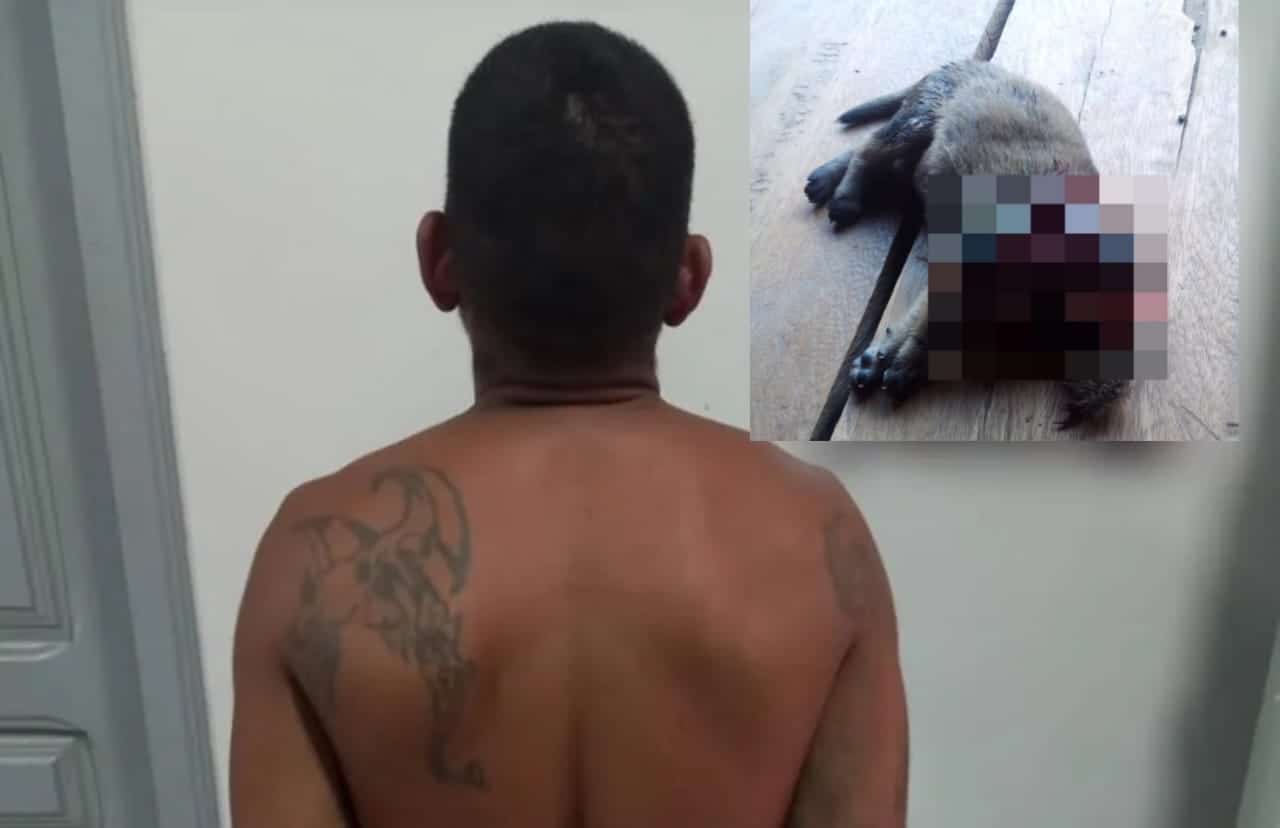 Polícia Civil prende acusado de matar cão no interior do Acre