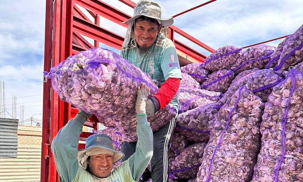 WhatsApp Image 2023-12-05 at 15.36.26