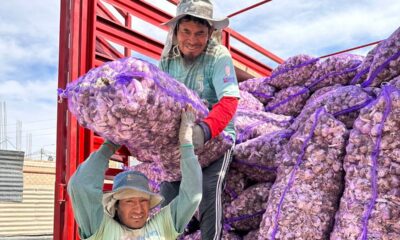 WhatsApp Image 2023-12-05 at 15.36.26